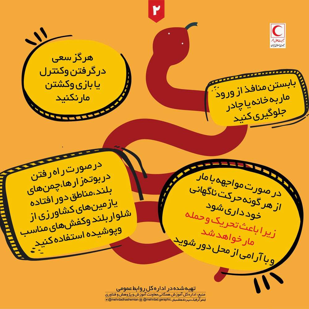 کمک‌های اولیه امدادی در مارگزیدگی/ اینفوگرافیک