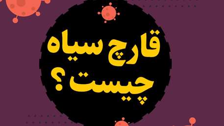 قارچ سیاه در کمین چه افرادی است؟/ اینفوگرافیک