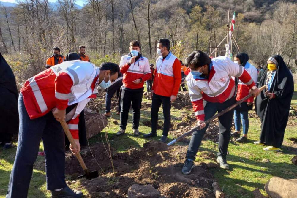 هر جوان گلستانی یک نهال درخت
